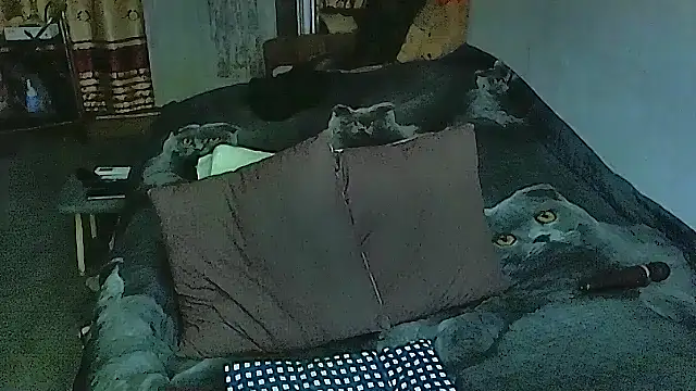 sex2 online show from 29, 9, 2025