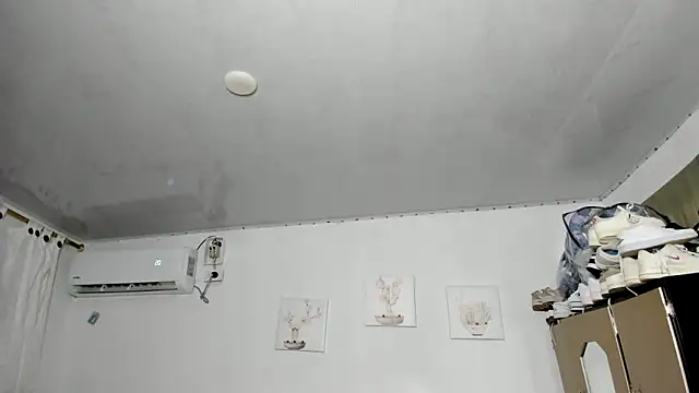 venuxwilliam online show from 12, 9, 2025