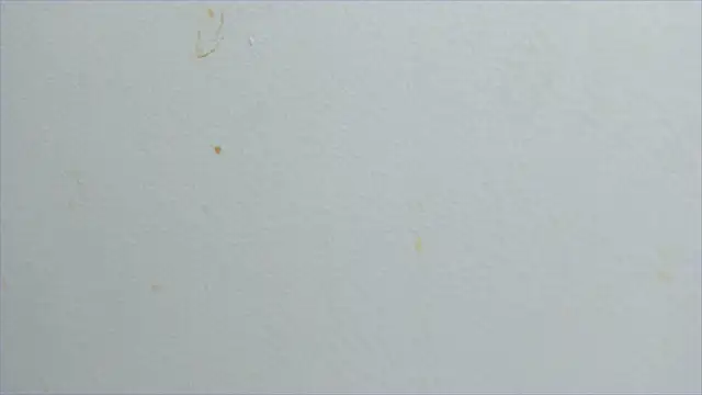 Snapshot of lisa2018 chatting on 21, 2, 2025 lisa2018 online show from 21, 2, 2025