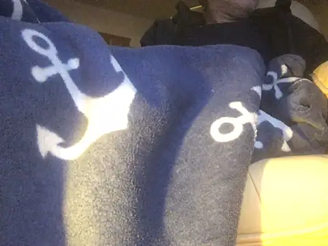 translove online show from 14, 2, 2025