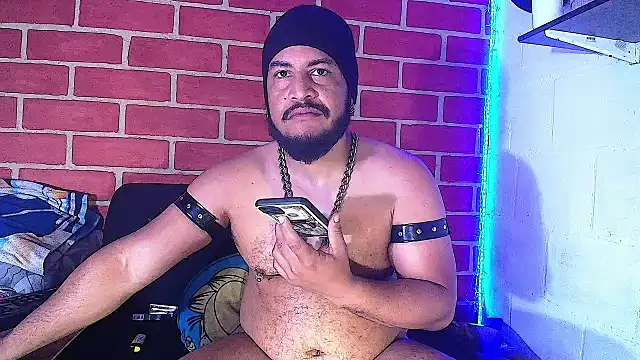 the master foal  online show from 19, 1, 2025