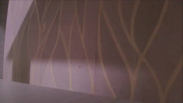 Snapshot of lay_navas chatting on 8, 11, 2025 lay navas online show from 8, 11, 2025