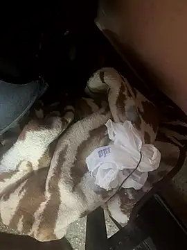 falooda288 online show from 17, 1, 2026