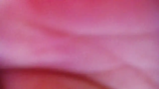 JessikaDaniel online show from 16, 4, 2026