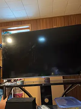 Mini And The Bear online show from 29, 3, 2026