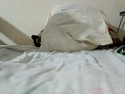 Snapshot of JamesQuaresma chatting on 11, 2, 2026 JamesQuaresma online show from 11, 2, 2026