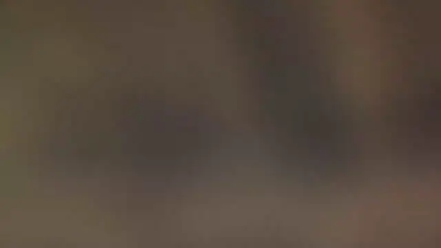 leccaleccafiga online show from 10, 3, 2026