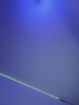 PokeGirld online show from 5, 4, 2026