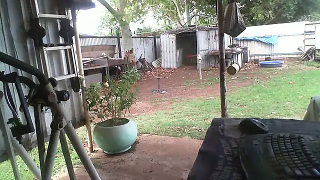 herbie010666 online show from 27, 11, 2025