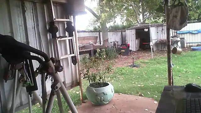 herbie010666 online show from 3, 2, 2026