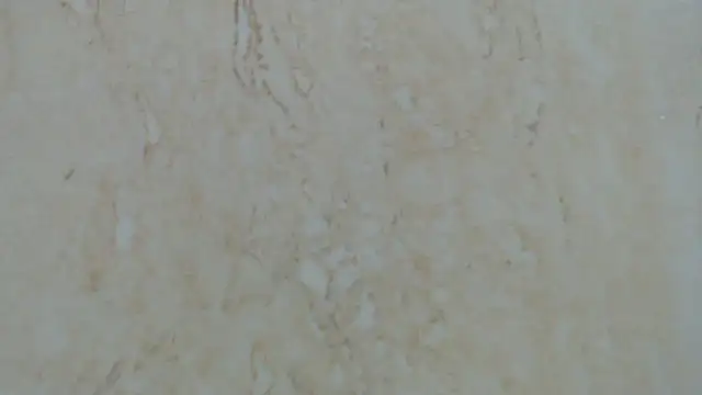 Crazy team  online show from 29, 12, 2024