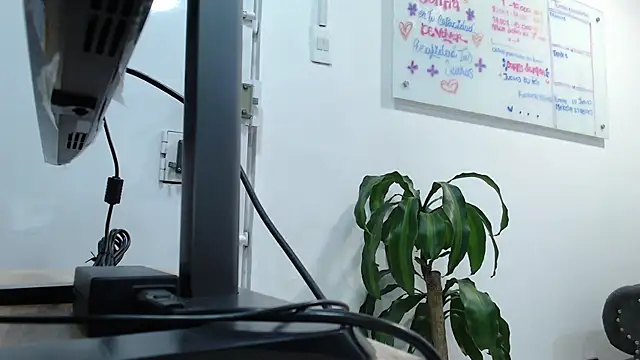 Snapshot of _kishy_alec chatting on 21, 2, 2025  kishy alec online show from 21, 2, 2025