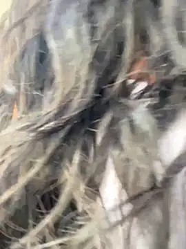 bea3liz online show from 18, 12, 2024