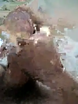 naghmi12 online show from 11, 11, 2025