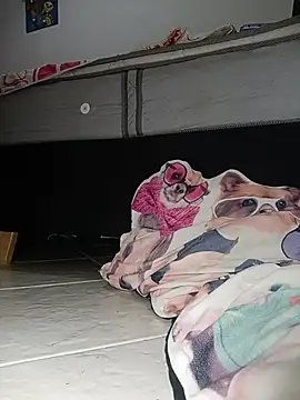 Van3orgasm4me online show from 13, 2, 2026