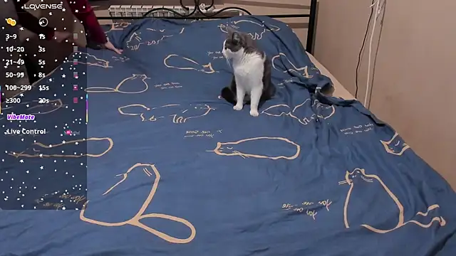 Snapshot of eva_zero chatting on 3, 3, 2026 eva zero online show from 3, 3, 2026