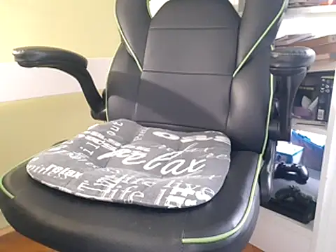 Snapshot of feathersify chatting on 4, 11, 2025 feathersify online show from 4, 11, 2025