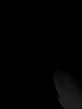 Snapshot of RomaLovesFamily chatting on 16, 11, 2025 RomaLovesFamily online show from 16, 11, 2025