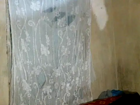 cute-shamza online show from 12, 3, 2026