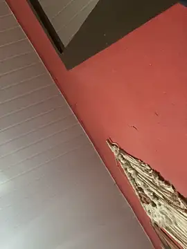 pimenta gaby online show from 4, 11, 2025