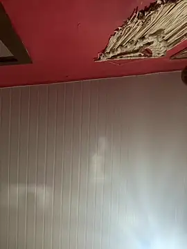 pimenta gaby online show from 8, 3, 2026