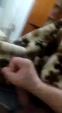 Snapshot of asezgin824 chatting on 22, 12, 2024 asezgin824 online show from 22, 12, 2024