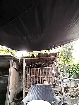 Snapshot of MS_Isabella_Snow92 chatting on 22, 2, 2025 MS Isabella Snow92 online show from 22, 2, 2025