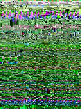 Wolfeman74 online show from 11, 7, 2026