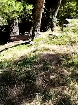 Snapshot of K-27 chatting on 4, 10, 2025 K-27 online show from 4, 10, 2025