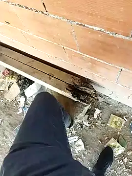 Snapshot of K-27 chatting on 5, 10, 2025 K-27 online show from 5, 10, 2025