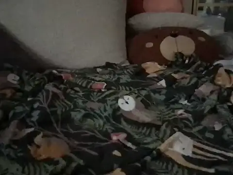 Snapshot of Perwers_41 chatting on 2, 11, 2025 Perwers 41 online show from 2, 11, 2025