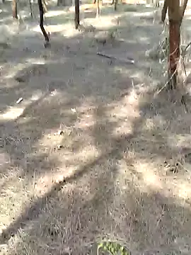 Gopal1243 online show from 20, 2, 2025