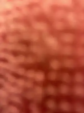 Snapshot of BigFineSelena chatting on 11, 1, 2025 BigFineSelena online show from 11, 1, 2025