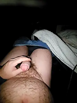 Snapshot of thefox92 chatting on 4, 2, 2025 thefox92 online show from 4, 2, 2025