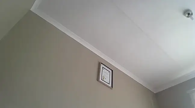 EbonySeductressx online show from 20, 3, 2025