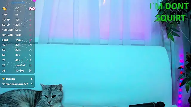 Bell a mi  online show from 8, 3, 2025