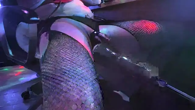 Snapshot of slankecrosdresser chatting on 2, 11, 2025 slankecrosdresser online show from 2, 11, 2025