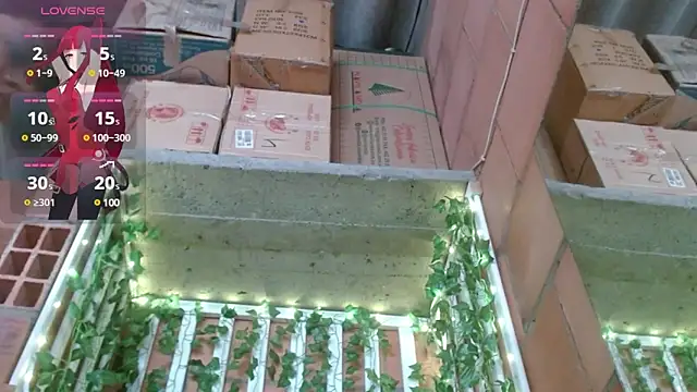 belindathompson online show from 25, 2, 2025