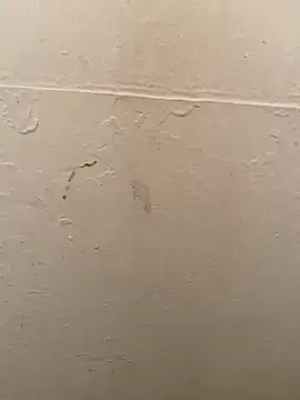 Snapshot of DreamerAsianGuy chatting on 19, 1, 2025 DreamerAsianGuy online show from 19, 1, 2025