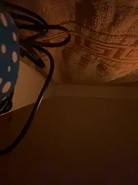 SexSanich online show from 6, 11, 2025