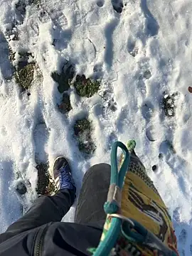 Mrbighardcock online show from 14, 1, 2026