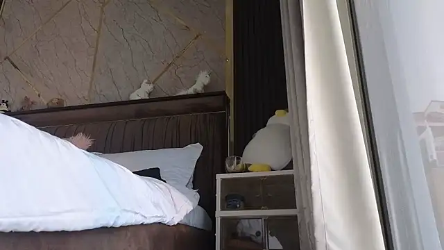 Snapshot of Allys chatting on 19, 2, 2025 Allys online show from 19, 2, 2025