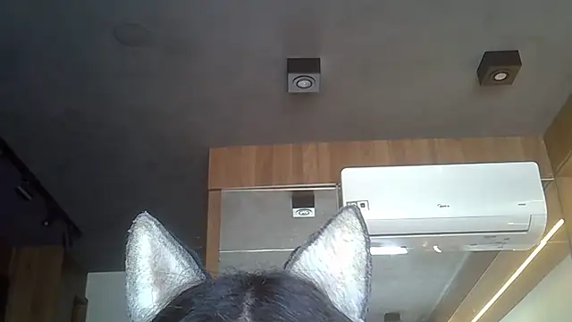 Skinny-Kitten online show from 19, 11, 2025