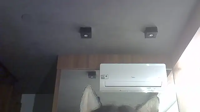 Skinny-Kitten online show from 15, 2, 2026