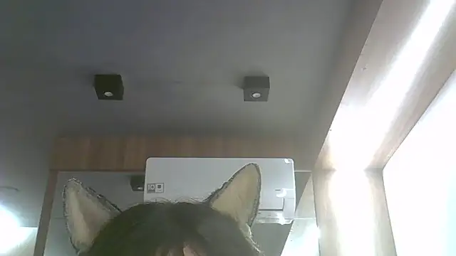 Skinny-Kitten online show from 17, 7, 2026