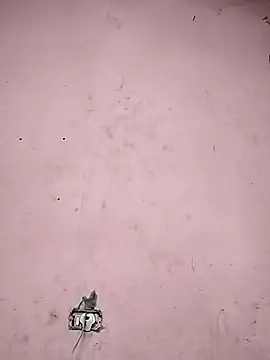 Snapshot of Sliced_Digit chatting on 9, 3, 2025 Sliced Digit online show from 9, 3, 2025