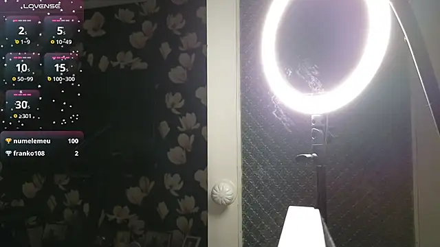 Snapshot of LybovNTV chatting on 23, 3, 2025 LybovNTV online show from 23, 3, 2025