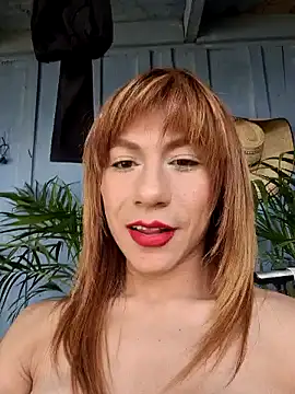 Evehampy online show from 29, 12, 2024