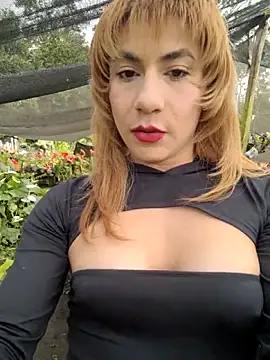 Evehampy online show from 30, 11, 2025