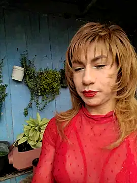 Evehampy online show from 23, 5, 2026